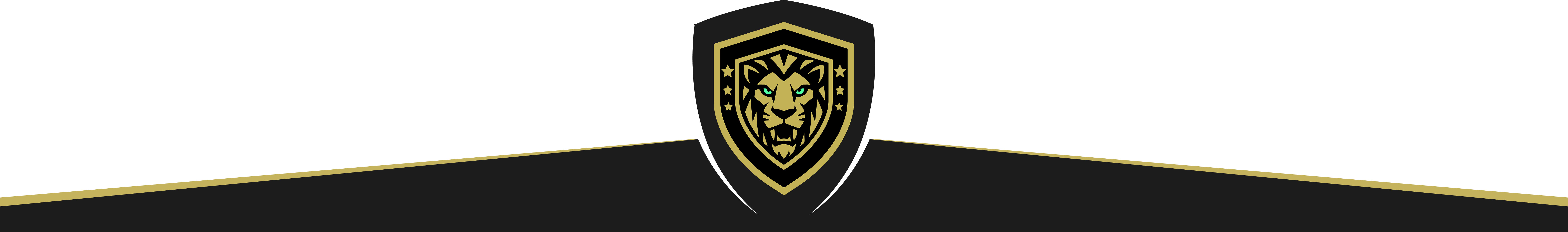 footer banner with the MyGuard logo